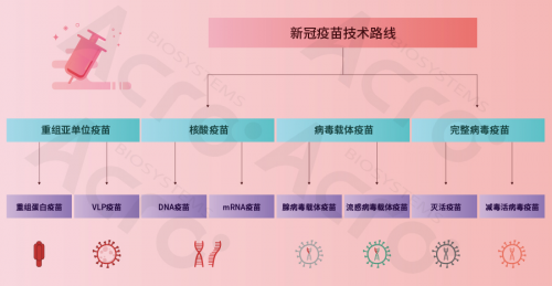 ACROBiosystems百普賽斯攜整體解決方案出席創(chuàng)新峰會，助力加速疫苗研發(fā)上市進程