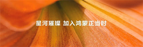 加入鴻蒙正當(dāng)時(shí)，“鴻蒙林”照見(jiàn)原生鴻蒙萬(wàn)物智聯(lián)新世界